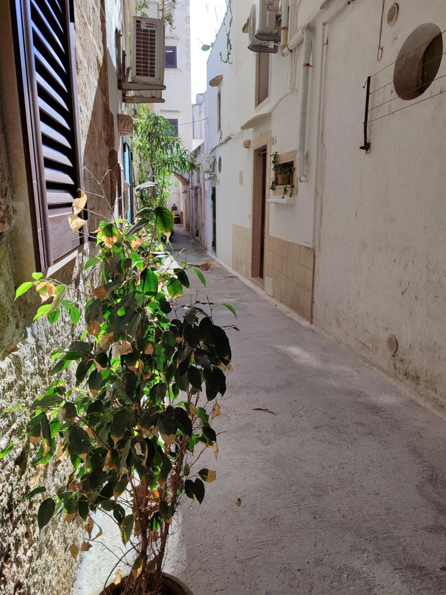 B&B Punta Cutieri Gallipoli Exterior photo