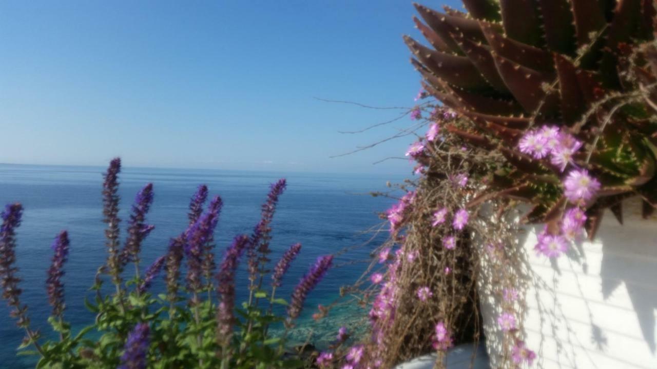 B&B Punta Cutieri Gallipoli Exterior photo